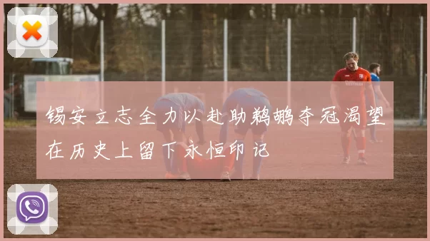 锡安立志全力以赴助鹈鹕夺冠渴望在历史上留下永恒印记